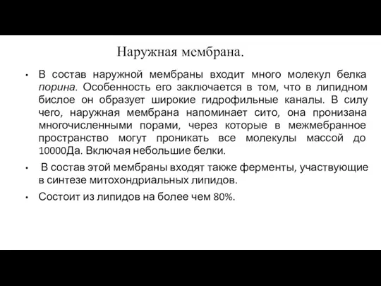 Наружная мембрана. В состав наружной мембраны входит много молекул белка