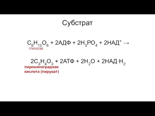 Субстрат С6Н12О6 + 2АДФ + 2Н3РО4 + 2НАД+ → глюкоза