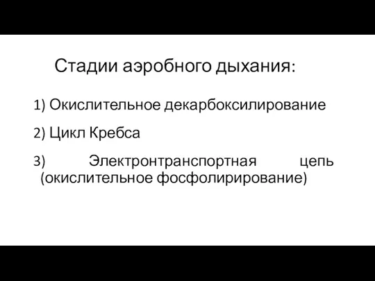 Стадии аэробного дыхания: 1) Окислительное декарбоксилирование 2) Цикл Кребса 3) Электронтранспортная цепь (окислительное фосфолирирование)