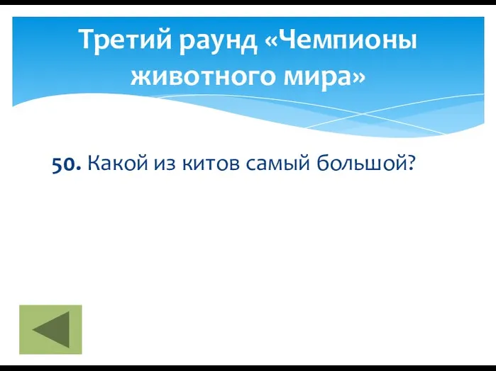 50. Какой из китов самый большой? Третий раунд «Чемпионы животного мира»