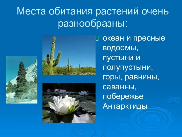 Места обитания растений очень разнообразны: океан и пресные водоемы, пустыни и полупустыни, горы,