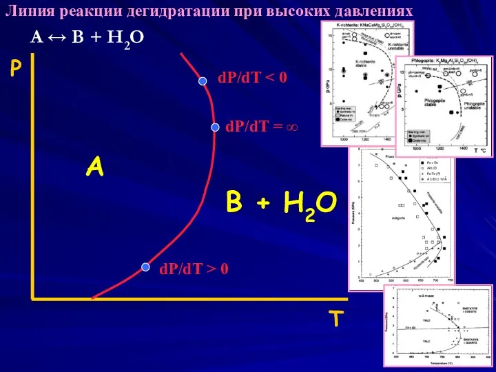 Р T A ↔ B + H2O A B + H2O dP/dT dP/dT