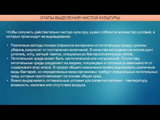 Чтобы получить действительно чистую культуру, нужно соблюсти множество условий, в