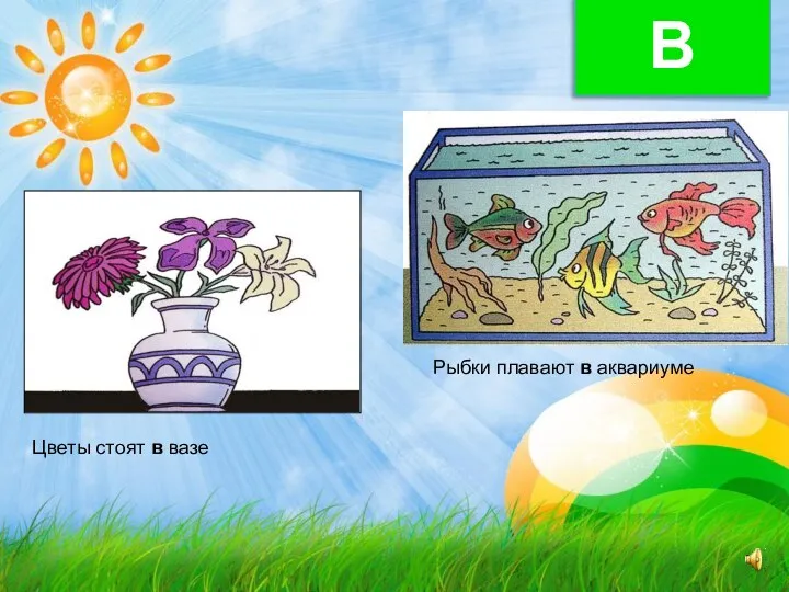 В Цветы стоят в вазе Рыбки плавают в аквариуме