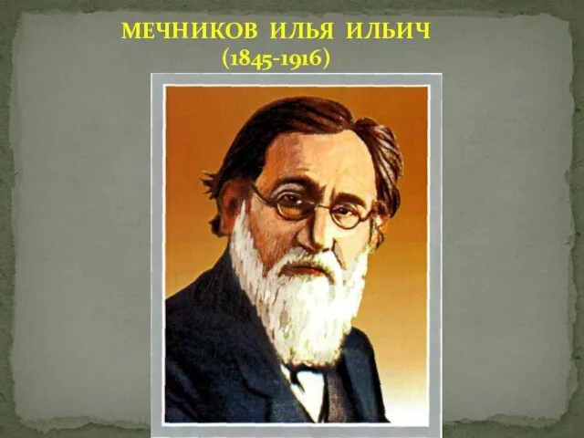 МЕЧНИКОВ ИЛЬЯ ИЛЬИЧ (1845-1916)