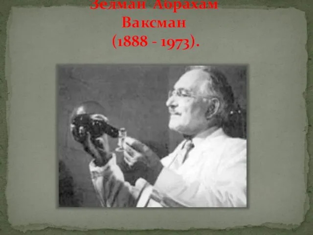 Зелман Абрахам Ваксман (1888 - 1973).