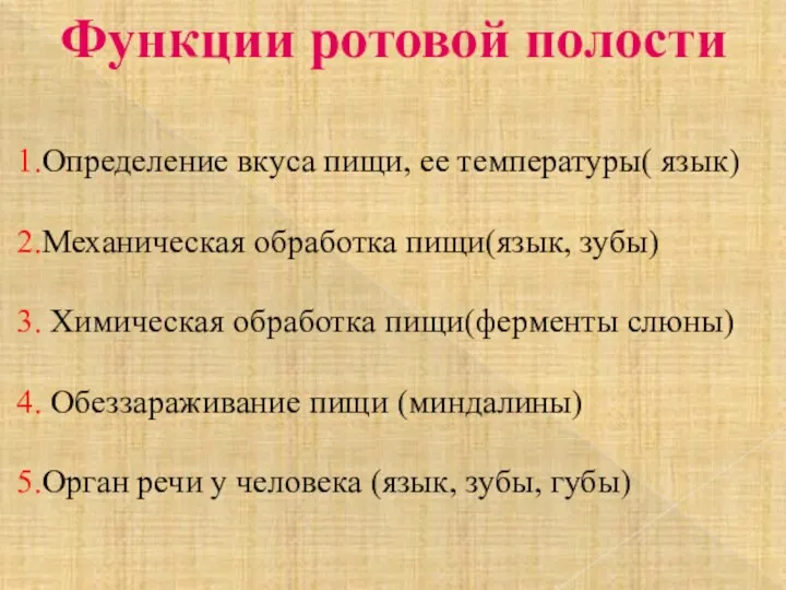 Функции ротовой полости 1.Определение вкуса пищи, ее температуры( язык) 2.Механическая