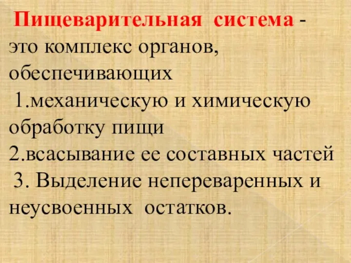 Пищеварительная система - это комплекс органов, обеспечивающих 1.механическую и химическую