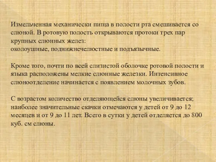 Измельченная механически пища в полости рта смешивается со слюной. В