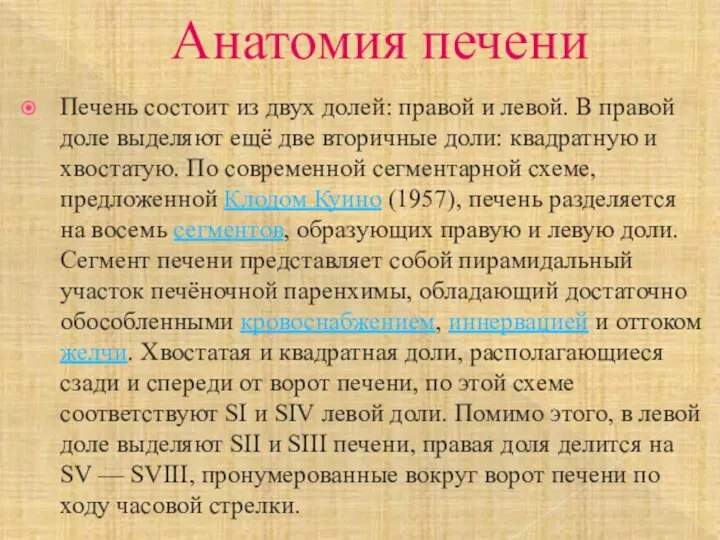 Анатомия печени Печень состоит из двух долей: правой и левой.