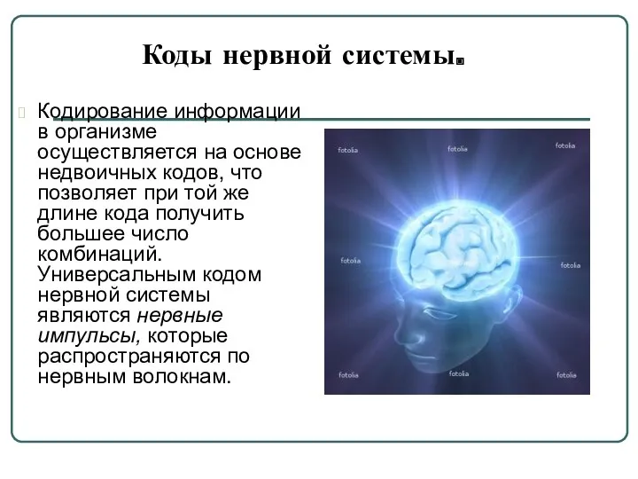 Коды нервной системы. Кодирование информации в организме осуществляется на основе