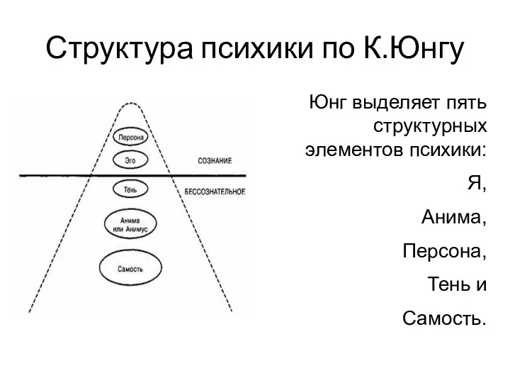 Структура психики по К.Юнгу Юнг выделяет пять структурных элементов психики: Я, Анима, Персона, Тень и Самость.