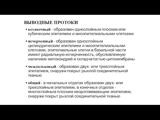 ВЫВОДНЫЕ ПРОТОКИ вставочный - образован однослойным плоским или кубическим эпителием