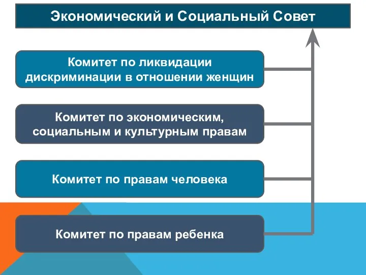 Комитет по ликвидации дискриминации в отношении женщин Экономический и Социальный