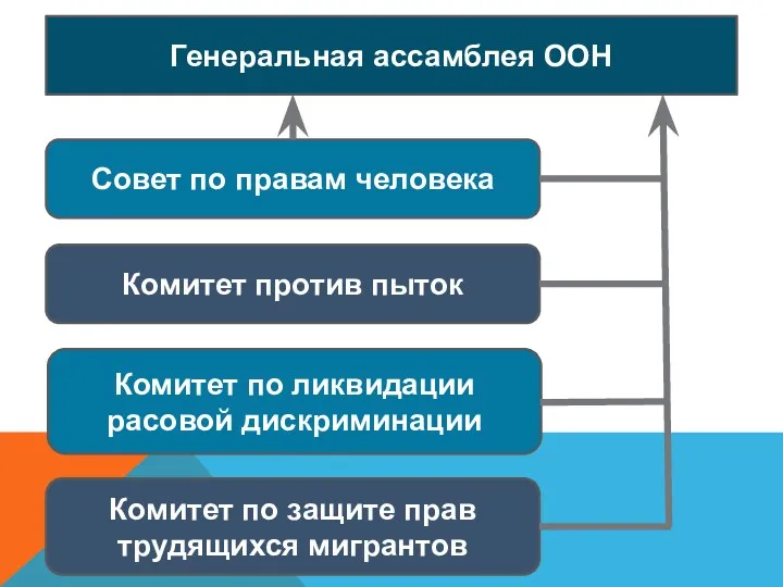 Генеральная ассамблея ООН Совет по правам человека Комитет против пыток Комитет по ликвидации