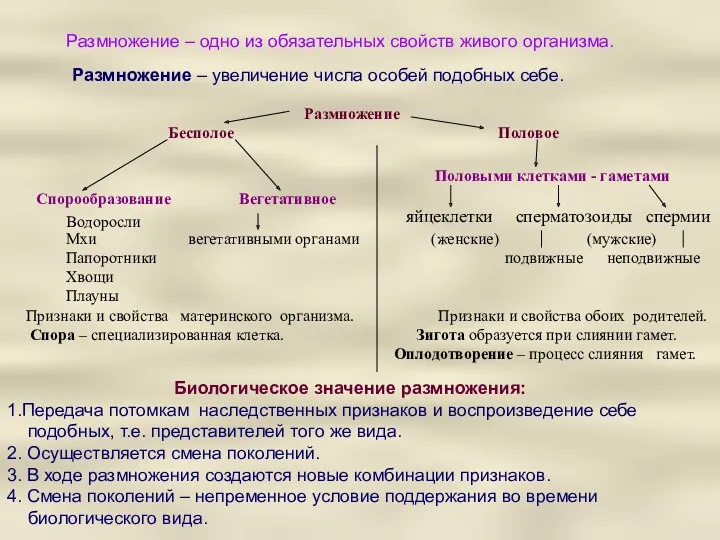 Размножение – одно из обязательных свойств живого организма. Размножение –