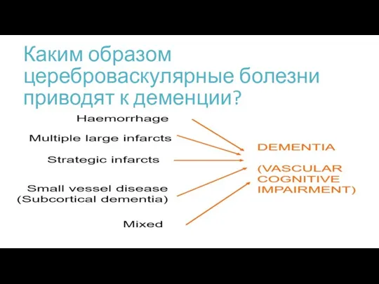 Каким образом цереброваскулярные болезни приводят к деменции?