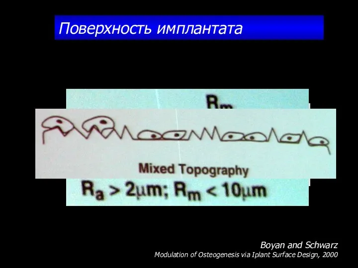 Поверхность имплантата Boyan and Schwarz Modulation of Osteogenesis via Iplant Surface Design, 2000