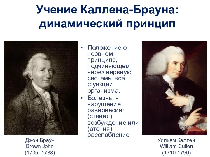 Учение Каллена-Брауна: динамический принцип Положение о нервном принципе, подчиняющем через нервную системы все