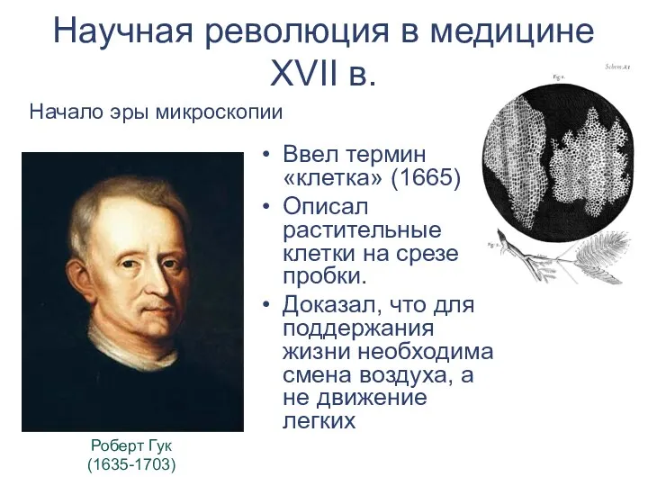 Ввел термин «клетка» (1665) Описал растительные клетки на срезе пробки. Доказал, что для