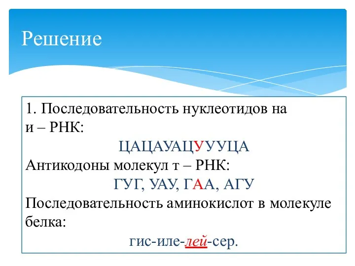 Решение 1. Последовательность нуклеотидов на и – РНК: ЦАЦАУАЦУУУЦА Антикодоны