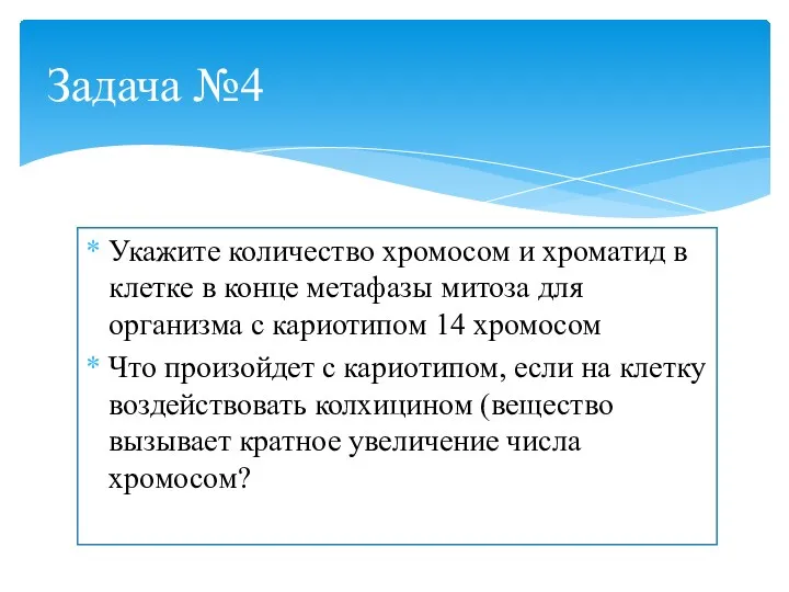 Укажите количество хромосом и хроматид в клетке в конце метафазы