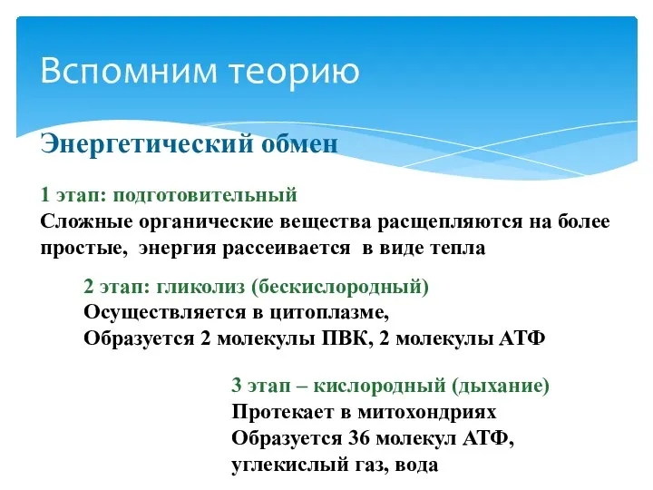 Вспомним теорию Энергетический обмен 1 этап: подготовительный Сложные органические вещества