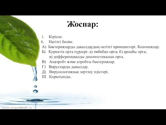 Жоспар: Кіріспе. Негізгі бөлім: А) Бактерияларды дақылдаудың негізгі принциптері. Колониялар.