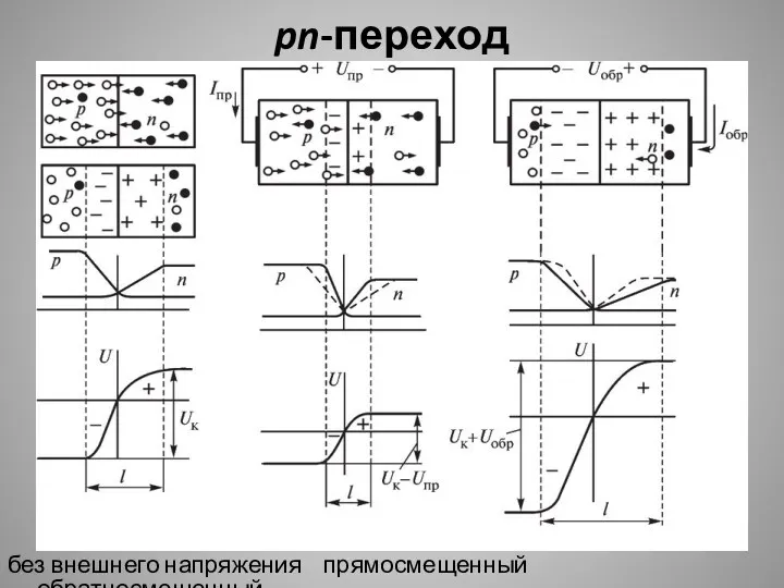 pn-переход без внешнего напряжения прямосмещенный обратносмещенный