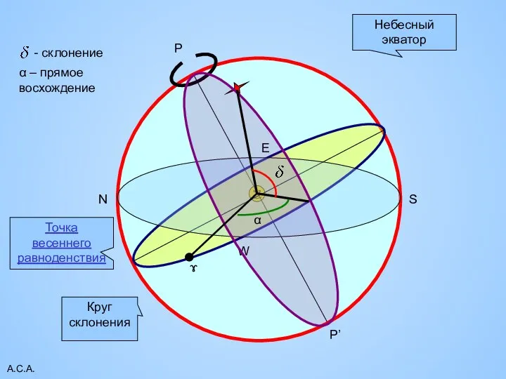 А.С.А. P P’ Небесный экватор W E N S Круг