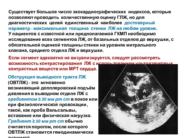 Существует большое число эхокардиографических индексов, которые позволяют проводить количественную оценку