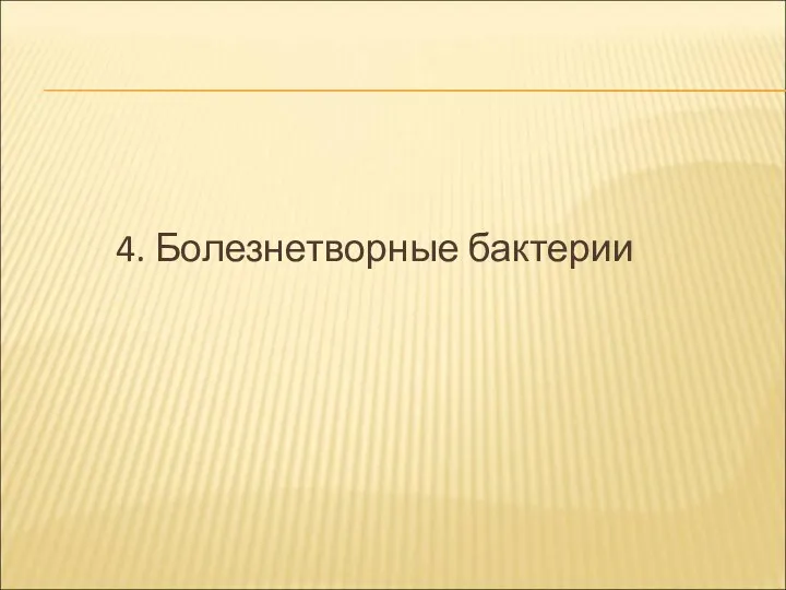 4. Болезнетворные бактерии