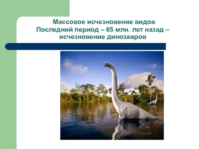 Массовое исчезновение видов Последний период – 65 млн. лет назад – исчезновение динозавров