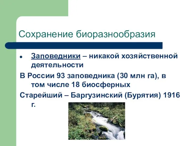 Сохранение биоразнообразия Заповедники – никакой хозяйственной деятельности В России 93 заповедника (30 млн