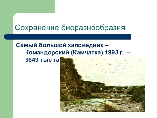 Сохранение биоразнообразия Самый большой заповедник – Командорский (Камчатка) 1993 г. – 3649 тыс га