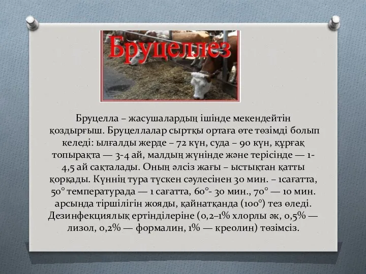 Бруцелла – жасушалардың ішінде мекендейтін қоздырғыш. Бруцеллалар сыртқы ортаға өте