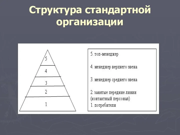 Структура стандартной организации