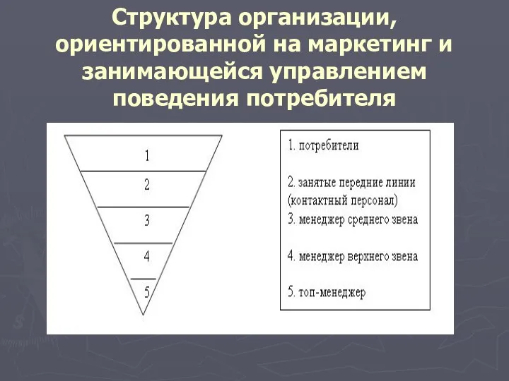 Структура организации, ориентированной на маркетинг и занимающейся управлением поведения потребителя