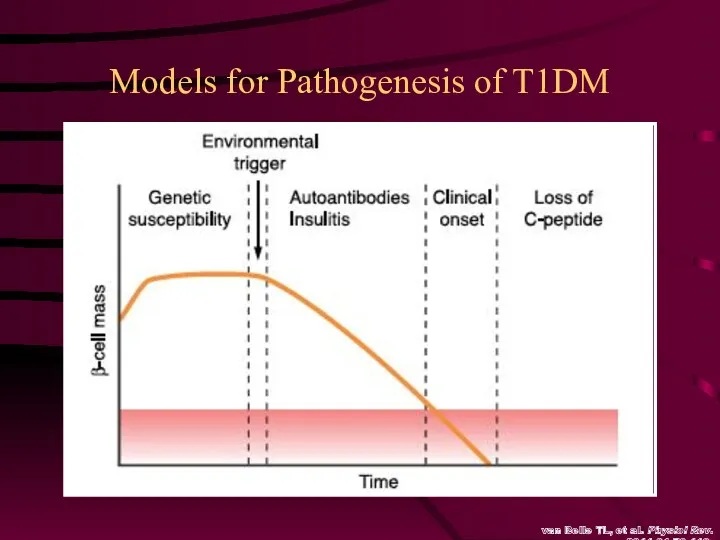 Models for Pathogenesis of T1DM van Belle TL, et al. Physiol Rev. 2011;91:79-118.