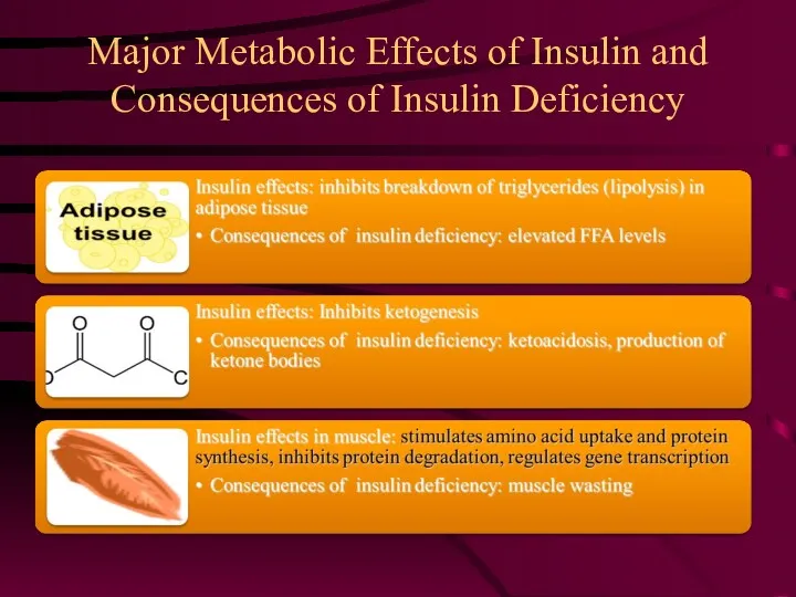 Major Metabolic Effects of Insulin and Consequences of Insulin Deficiency