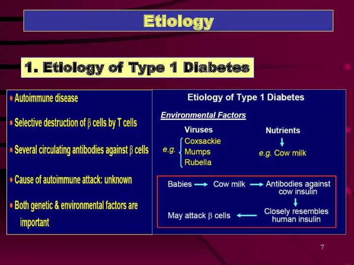 Etiology 1. Etiology of Type 1 Diabetes