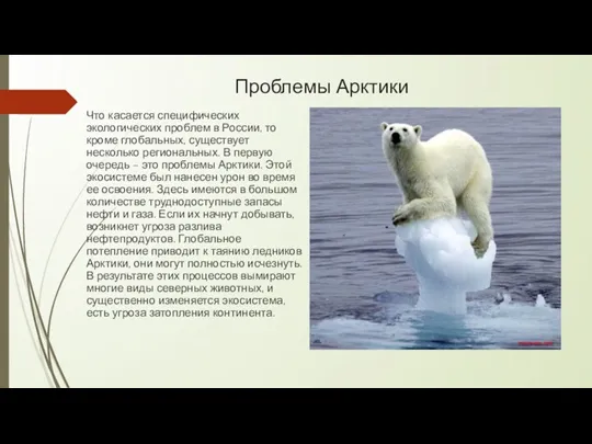 Проблемы Арктики Что касается специфических экологических проблем в России, то