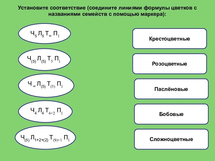 Крестоцветные Розоцветные Паслёновые Бобовые Сложноцветные Установите соответствие (соедините линиями формулы цветков с названиями