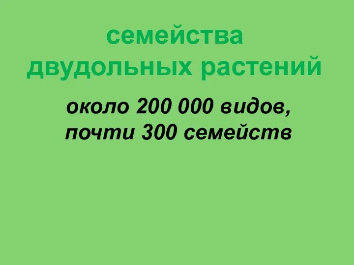 семейства двудольных растений около 200 000 видов, почти 300 семейств