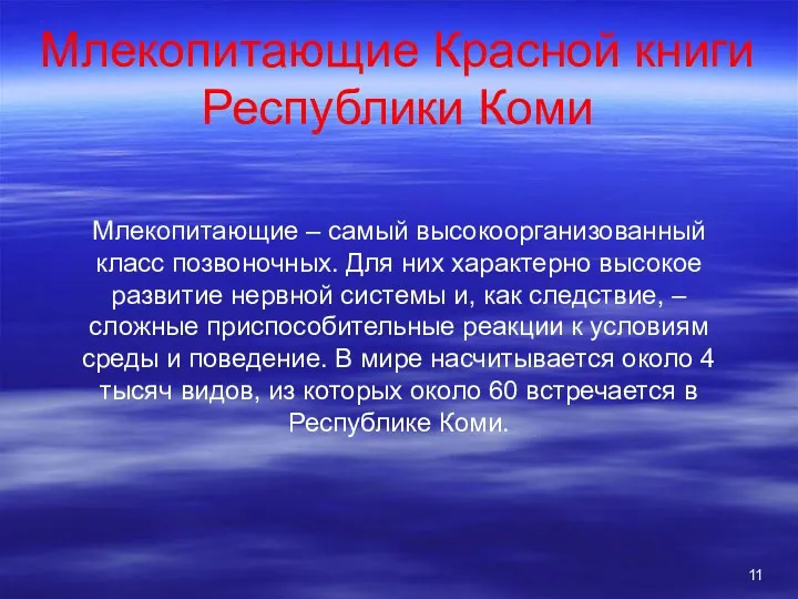 Млекопитающие Красной книги Республики Коми Млекопитающие – самый высокоорганизованный класс позвоночных. Для них