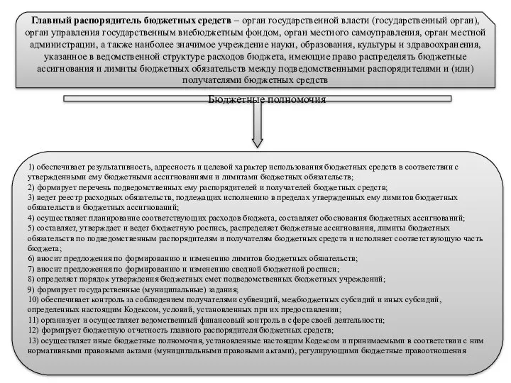 Главный распорядитель бюджетных средств – орган государственной власти (государственный орган),