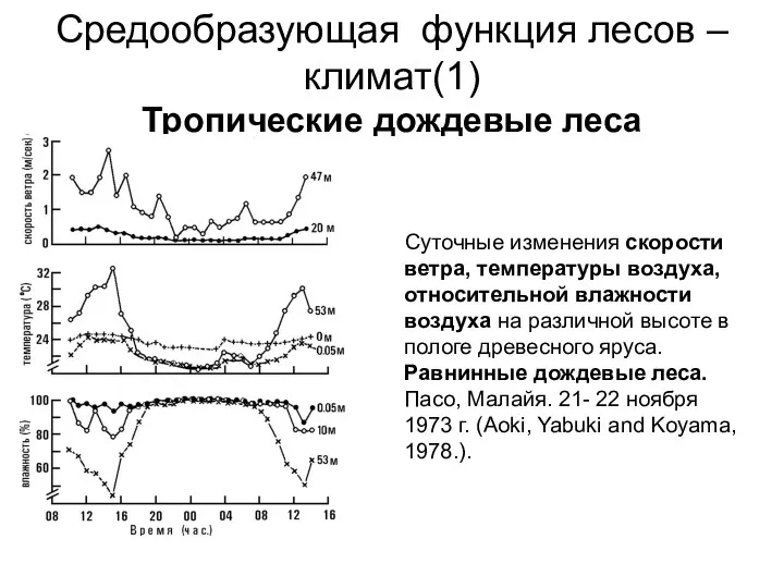 Средообразующая функция лесов – климат(1) Тропические дождевые леса Суточные изменения