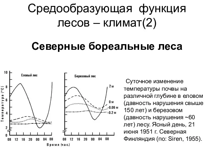 Средообразующая функция лесов – климат(2) Северные бореальные леса Суточное изменение