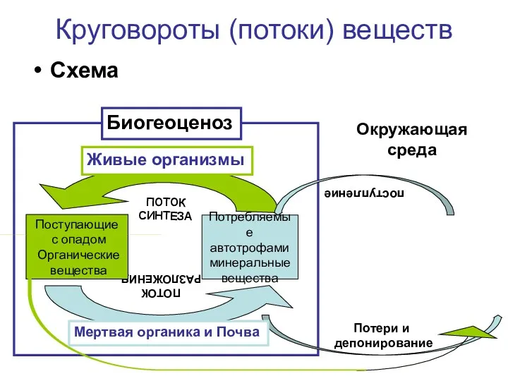 Круговороты (потоки) веществ Схема ПОТОК РАЗЛОЖЕНИЯ Потребляемые автотрофами минеральные вещества