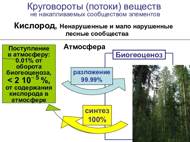 Круговороты (потоки) веществ не накапливаемых сообществом элементов Кислород, Ненарушенные и